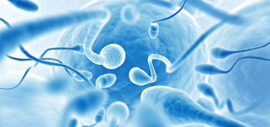 accounting-principles-could-lead-to-increased-chances-of-clinical-ivf-success